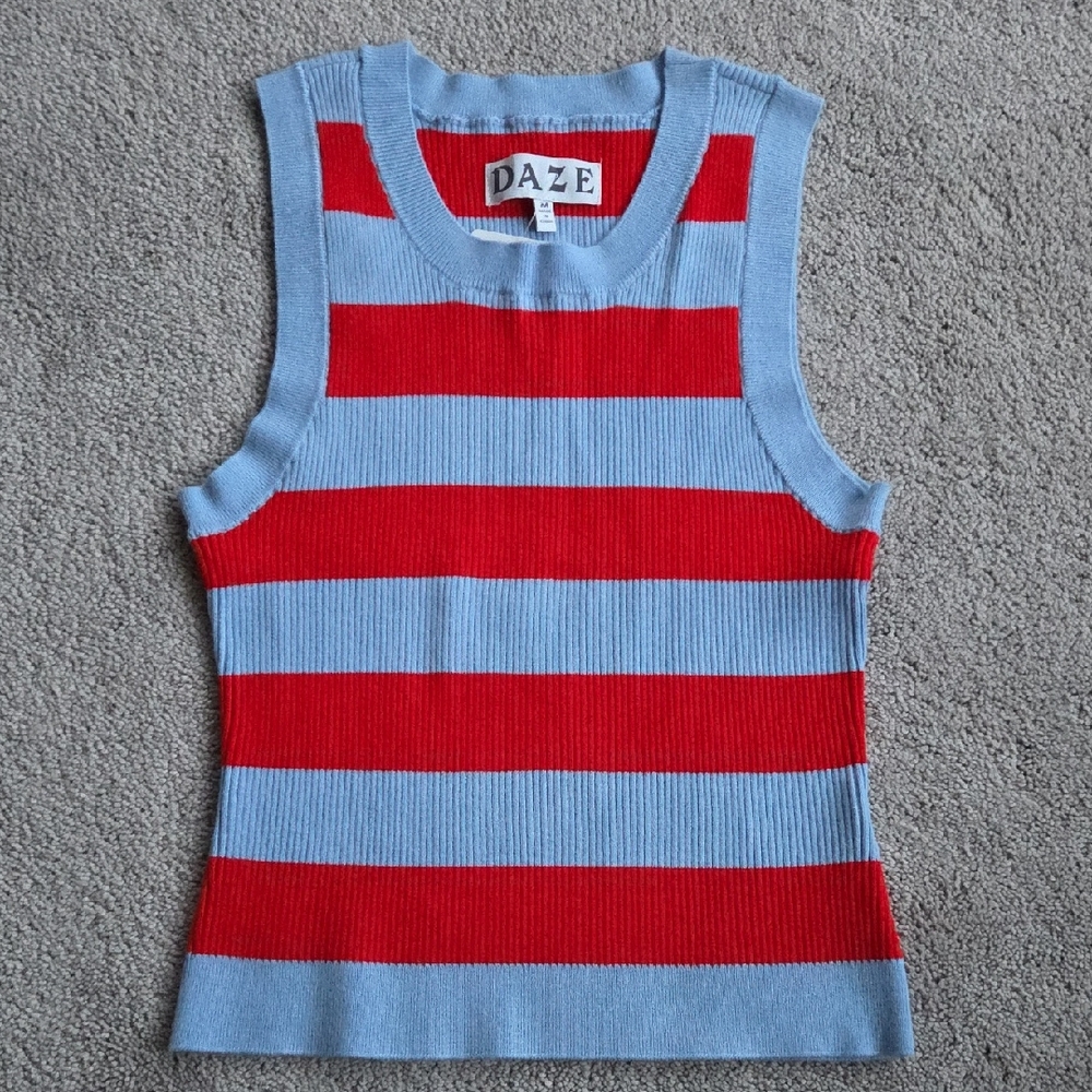 Daze Denim Flirty Berry Stripe Sweater